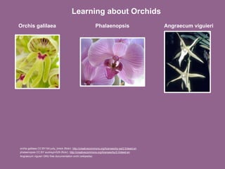 Enriching Scholarship 2009 - Creating Open Educational Resources