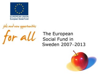 The European
Social Fund in
Sweden 20072013
 