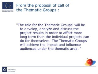 From the proposal of call of
the Thematic Groups :


"The role for the Thematic Groups' will be
  to develop, analyze and discuss the
  project results in order to affect more
  long term than the individual projects can
  do for themselves. The Thematic Groups
  will achieve the impact and influence
  audiences under the thematic area. "
 