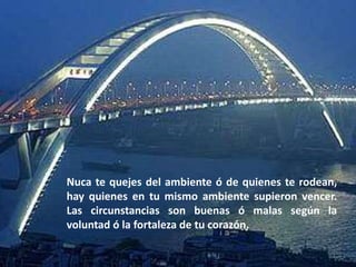 Nuca te quejes del ambiente ó de quienes te rodean,
hay quienes en tu mismo ambiente supieron vencer.
Las circunstancias son buenas ó malas según la
voluntad ó la fortaleza de tu corazón.
 