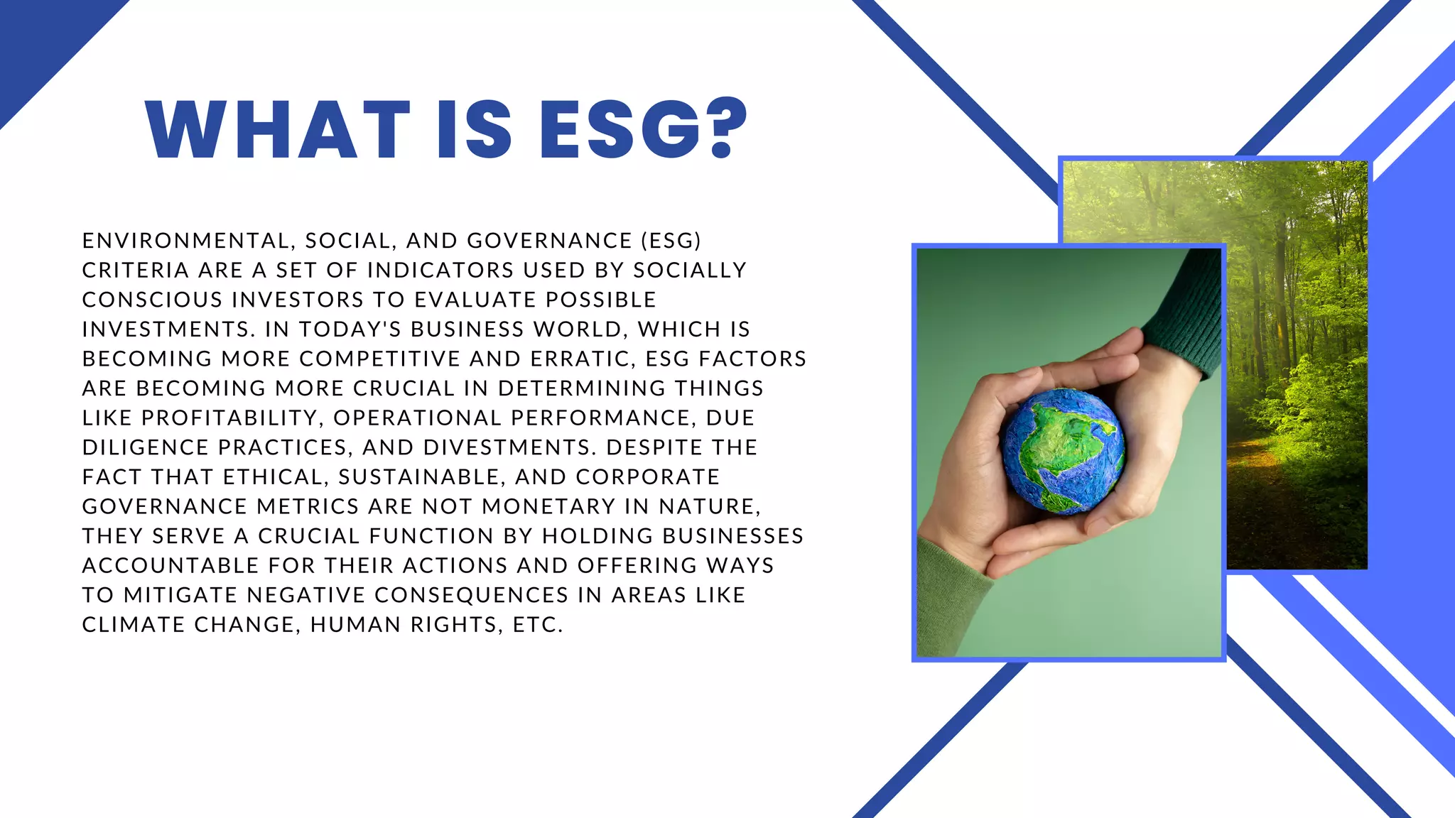 Picture of Alabama and Florida Gulf Coast Condo Rental Revenues - CondoInvestment.com