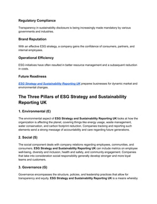 ESG Strategy and Sustainability Reporting UK | PDF