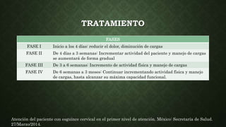 TRATAMIENTO
Atención del paciente con esguince cervical en el primer nivel de atención. México: Secretaría de Salud.
27/Marzo/2014.
FASES
FASE I Inicio a los 4 días: reducir el dolor, diminución de cargas
FASE II De 4 días a 3 semanas: Incrementar actividad del paciente y manejo de cargas
se aumentará de forma gradual
FASE III De 3 a 6 semanas: Incremento de actividad física y manejo de cargas
FASE IV De 6 semanas a 3 meses: Continuar incrementando actividad física y manejo
de cargas, hasta alcanzar su máxima capacidad funcional.
 