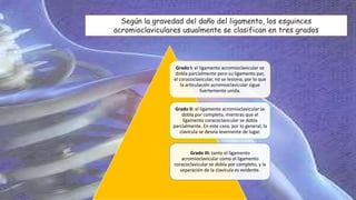 Grado I: el ligamento acromioclavicular se
dobla parcialmente pero su ligamento par,
el coracoclavicular, no se lesiona, por lo que
la articulación acromioclavicular sigue
fuertemente unida.
Grado II: el ligamento acromioclavicular se
dobla por completo, mientras que el
ligamento coracoclavicular se dobla
parcialmente. En este caso, por lo general, la
clavícula se desvía levemente de lugar.
Grado III: tanto el ligamento
acromioclavicular como el ligamento
coracoclavicular se dobla por completo, y la
separación de la clavícula es evidente.
Según la gravedad del daño del ligamento, los esguinces
acromioclaviculares usualmente se clasifican en tres grados
 