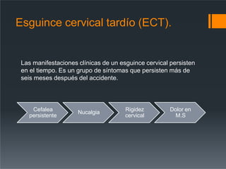 Esguince cervical tardío (ECT).
Las manifestaciones clínicas de un esguince cervical persisten
en el tiempo. Es un grupo de síntomas que persisten más de
seis meses después del accidente.
Cefalea
persistente
Nucalgia Rigidez
cervical
Dolor en
M.S
 