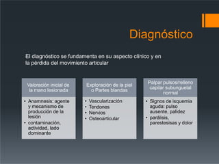Diagnóstico
Valoración inicial de
la mano lesionada
• Anamnesis: agente
y mecanismo de
producción de la
lesión
• contaminación,
actividad, lado
dominante
Exploración de la piel
o Partes blandas
• Vascularización
• Tendones
• Nervios
• Osteoarticular
Palpar pulsos/relleno
capilar subunguelal
normal
• Signos de isquemia
aguda: pulso
ausente, palidez
• parálisis,
parestesisas y dolor
El diagnóstico se fundamenta en su aspecto clínico y en
la pérdida del movimiento articular
 