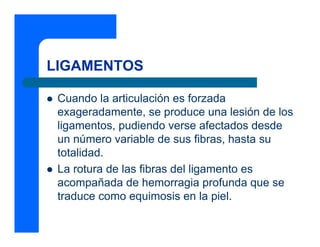 LIGAMENTOS

 Cuando la articulación es forzada
 exageradamente, se produce una lesión de los
 ligamentos, pudiendo verse afectados desde
 un número variable de sus fibras, hasta su
 totalidad.
 La rotura de las fibras del ligamento es
 acompañada de hemorragia profunda que se
 traduce como equimosis en la piel.
 