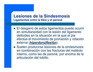 Lesiones de la Sindesmosis
Ligamentos entre la tibia y el peroné


  El desgarro de estos ligamentos puede ocurrir
  en simultaneidad con la lesión del ligamento
  deltoideo en la situación en la que el pie
  efectúa el movimiento de pronación y rotación
  externa (hiperdorsiflexión).
  Suelen producirse lesiones de la sindesmosis
  en combinación con las fracturas del maléolo
  interno, como las de peroné, por encima de la
  articulación del tobillo.
 