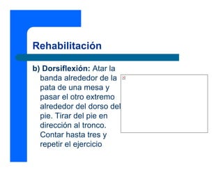 Rehabilitación

b) Dorsiflexión: Atar la
  banda alrededor de la
  pata de una mesa y
  pasar el otro extremo
  alrededor del dorso del
  pie. Tirar del pie en
  dirección al tronco.
  Contar hasta tres y
  repetir el ejercicio
 