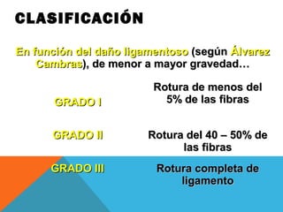 CLASIFICACIÓN 
En ffuunncciióónn ddeell ddaaññoo lliiggaammeennttoossoo ((sseeggúúnn ÁÁllvvaarreezz 
CCaammbbrraass)),, ddee mmeennoorr aa mmaayyoorr ggrraavveeddaadd…… 
GGRRAADDOO II 
RRoottuurraa ddee mmeennooss ddeell 
55%% ddee llaass ffiibbrraass 
GGRRAADDOO IIII RRoottuurraa ddeell 4400 –– 5500%% ddee 
llaass ffiibbrraass 
GGRRAADDOO IIIIII RRoottuurraa ccoommpplleettaa ddee 
lliiggaammeennttoo 
 