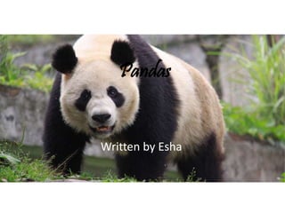 Pandas
Written by Esha
 