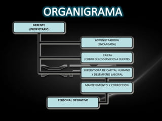 GERENTE
(PROPIETARIO)


                                      ADMINISTRADORA
                                        (ENCARGADA)


                                            CAJERA
                               (COBRO DE LOS SERVICIOS A CLIENTES


                               SUPERVISORA DE CAPITAL HUMANO
                                    Y DESEMPEÑO LABORAL


                                MANTENIMIENTO Y CORRECCION



                PERSONAL OPERATIVO
 