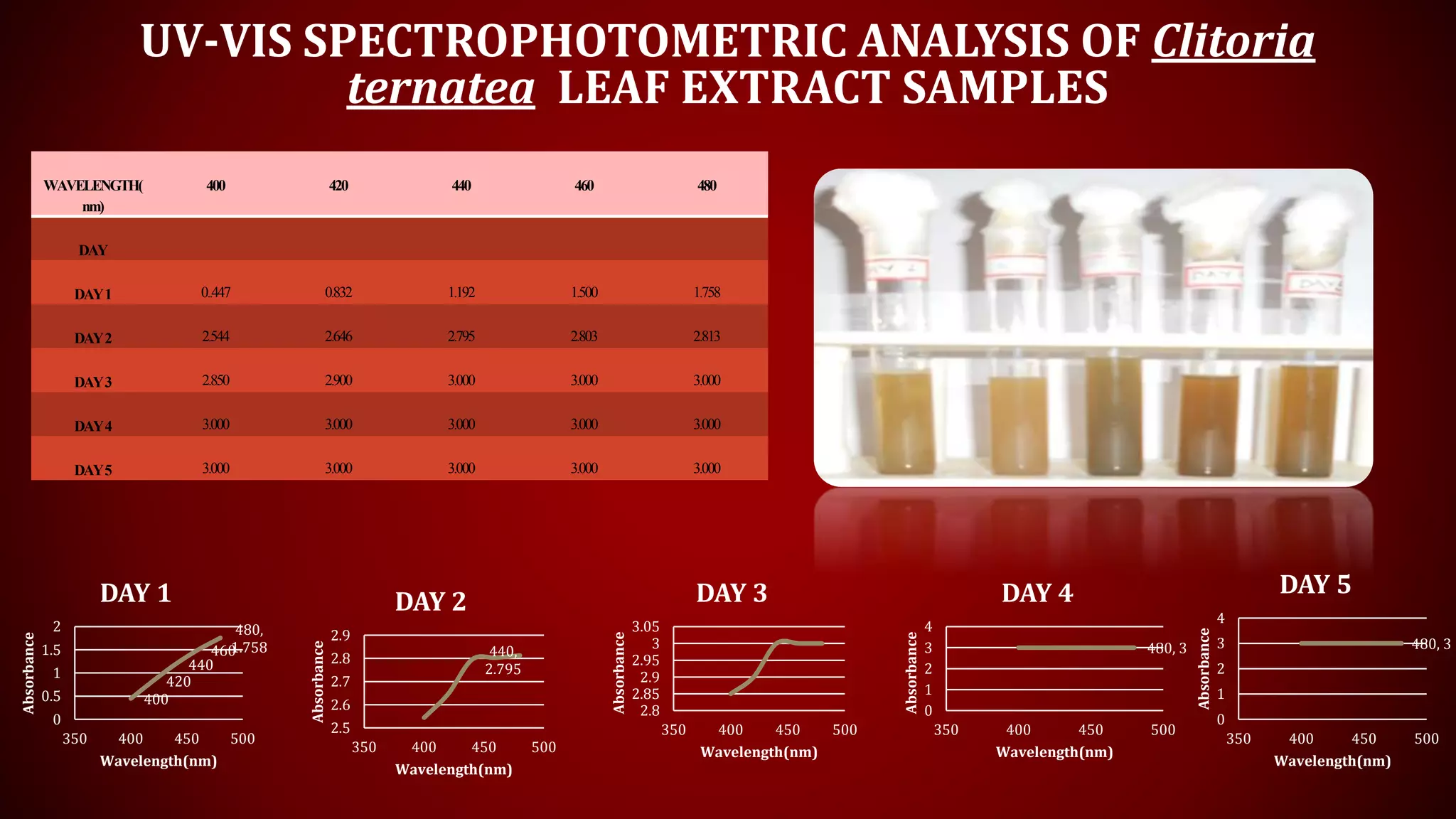 UV-VIS SPECTROPHOTOMETRIC ANALYSIS OF Clitoria
ternatea LEAF EXTRACT SAMPLES
WAVELENGTH(
nm)
400 420 440 460 480
DAY
DAY1 0..447 0.832 1.192 1.500 1.758
DAY2 2.544 2.646 2.795 2.803 2.813
DAY3 2.850 2.900 3.000 3.000 3.000
DAY4 3.000 3.000 3.000 3.000 3.000
DAY5 3.000 3.000 3.000 3.000 3.000
400
420
440
460
480,
1.758
0
0.5
1
1.5
2
350 400 450 500
Absorbance
Wavelength(nm)
DAY 1
440,
2.795
2.5
2.6
2.7
2.8
2.9
350 400 450 500
Absorbance
Wavelength(nm)
DAY 2
2.8
2.85
2.9
2.95
3
3.05
350 400 450 500
Absorbance
Wavelength(nm)
DAY 3
480, 3
0
1
2
3
4
350 400 450 500
Absorbance
Wavelength(nm)
DAY 4
480, 3
0
1
2
3
4
350 400 450 500
Absorbance
Wavelength(nm)
DAY 5
 