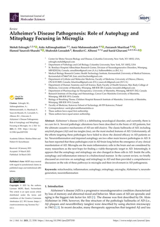 International Journal of
Molecular Sciences
Review
Alzheimer’s Disease Pathogenesis: Role of Autophagy and
Mitophagy Focusing in Microglia
Mehdi Eshraghi 1,2,† , Aida Adlimoghaddam 3,†, Amir Mahmoodzadeh 4,† , Farzaneh Sharifzad 5,† ,
Hamed Yasavoli-Sharahi 5 , Shahrokh Lorzadeh 6, Benedict C. Albensi 3,7,‡ and Saeid Ghavami 6,8,9,10,*,‡


Citation: Eshraghi, M.;
Adlimoghaddam, A.;
Mahmoodzadeh, A.; Sharifzad, F.;
Yasavoli-Sharahi, H.; Lorzadeh, S.;
Albensi, B.C.; Ghavami, S.
Alzheimer’s Disease Pathogenesis:
Role of Autophagy and Mitophagy
Focusing in Microglia. Int. J. Mol. Sci.
2021, 22, 3330. https://doi.org/
10.3390/ijms22073330
Academic Editors: Markus Ritter and
Hubert H. Kerschbaum
Received: 26 January 2021
Accepted: 19 March 2021
Published: 24 March 2021
Publisher’s Note: MDPI stays neutral
with regard to jurisdictional claims in
published maps and institutional affil-
iations.
Copyright: © 2021 by the authors.
Licensee MDPI, Basel, Switzerland.
This article is an open access article
distributed under the terms and
conditions of the Creative Commons
Attribution (CC BY) license (https://
creativecommons.org/licenses/by/
4.0/).
1 Center for Motor Neuron Biology and Disease, Columbia University, New York, NY 10032, USA;
eshraghi.mehdi@gmail.com
2 Department of Pathology and Cell Biology, Columbia University, New York, NY 10032, USA
3 St. Boniface Hospital Albrechtsen Research Centre, Division of Neurodegenerative Disorders, Winnipeg,
MB R2H2A6, Canada; umadlimo@gmail.com (A.A.); balbensi@sbrc.ca (B.C.A.)
4 Medical Biology Research Center, Health Technology Institute, Kermanshah University of Medical Sciences,
Kermanshah 6734667149, Iran; amir.biochem@gmail.com
5 Department of Cellular and Molecular Medicine, Faculty of Medicine, University of Ottawa, Ottawa,
ON K1H 8M5, Canada; fsharifzad@gmail.com (F.S.); yasavoli.h@gmail.com (H.Y.-S.)
6 Department of Human Anatomy and Cell Science, Rady Faculty of Health Sciences, Max Rady College of
Medicine, University of Manitoba, Winnipeg, MB R3E 0J9, Canada; lorzadeh.sh@gmail.com
7 Department of Pharmacology  Therapeutics, University of Manitoba, Winnipeg, MB R3T 2N2, Canada
8 Research Institute of Oncology and Hematology, Cancer Care Manitoba-University of Manitoba,
Winnipeg, MB R3E 0V9, Canada
9 Biology of Breathing Theme, Children Hospital Research Institute of Manitoba, University of Manitoba,
Winnipeg, MB R3E 0V9, Canada
10 Faculty of Medicine, Katowice School of Technology, 40-555 Katowice, Poland
* Correspondence: saeid.ghavami@umanitoba.ca
† These authors have equal first authorship.
‡ These authors have equal senior authorship.
Abstract: Alzheimer’s disease (AD) is a debilitating neurological disorder, and currently, there is
no cure for it. Several pathologic alterations have been described in the brain of AD patients, but
the ultimate causative mechanisms of AD are still elusive. The classic hallmarks of AD, including
amyloid plaques (Aβ) and tau tangles (tau), are the most studied features of AD. Unfortunately, all
the efforts targeting these pathologies have failed to show the desired efficacy in AD patients so
far. Neuroinflammation and impaired autophagy are two other main known pathologies in AD. It
has been reported that these pathologies exist in AD brain long before the emergence of any clinical
manifestation of AD. Microglia are the main inflammatory cells in the brain and are considered by
many researchers as the next hope for finding a viable therapeutic target in AD. Interestingly, it
appears that the autophagy and mitophagy are also changed in these cells in AD. Inside the cells,
autophagy and inflammation interact in a bidirectional manner. In the current review, we briefly
discussed an overview on autophagy and mitophagy in AD and then provided a comprehensive
discussion on the role of these pathways in microglia and their involvement in AD pathogenesis.
Keywords: mitochondria; inflammation; autophagy; mitophagy; microglia; Alzheimer’s; neurode-
generation; neuroinflammation
1. Introduction
Alzheimer’s disease (AD) is a progressive neurodegenerative condition characterized
by loss of memory and abnormal mood and behavior. Most cases of AD are sporadic and
aging is the biggest risk factor for AD [1]. The disease was first described by Dr. Alois
Alzheimer in 1906; however, the fine structure of the pathologic hallmarks of AD (i.e.,
Aβ plaques and neurofibrillary tangles) were described by using electron microscopy
in 1963 [2,3]. In recent decades, many therapeutic approaches that targeted Aβ and tau
Int. J. Mol. Sci. 2021, 22, 3330. https://doi.org/10.3390/ijms22073330 https://www.mdpi.com/journal/ijms
 