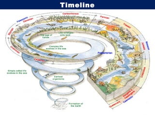Timeline 