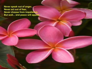Never speak out of anger,
Never act out of fear,
Never choose from impatience,
But wait... and peace will appear.
 