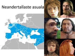 Neandertallaste asuala
 