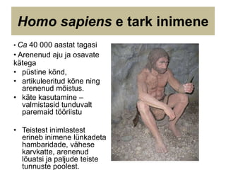 • Ca 40 000 aastat tagasi
• Arenenud aju ja osavate
kätega
• püstine kõnd,
• artikuleeritud kõne ning
arenenud mõistus.
• käte kasutamine –
valmistasid tunduvalt
paremaid tööriistu
• Teistest inimlastest
erineb inimene lünkadeta
hambaridade, vähese
karvkatte, arenenud
lõuatsi ja paljude teiste
tunnuste poolest.
Homo sapiens e tark inimene
 