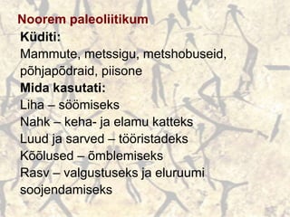 Noorem paleoliitikum
Küditi:
Mammute, metssigu, metshobuseid,
põhjapõdraid, piisone
Mida kasutati:
Liha – söömiseks
Nahk – keha- ja elamu katteks
Luud ja sarved – tööristadeks
Kõõlused – õmblemiseks
Rasv – valgustuseks ja eluruumi
soojendamiseks
 