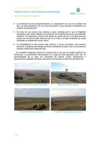 ESTUDIO DE IMPACTO AMBIENTAL
PARQUE EÓLICO LAS CANTERAS (ALDEARRUBIA)
Medio Perceptual o Paisajístico
126
La orientación de los aerogeneradores y su disposición va a ser en la ladera del
teso, de alta pendiente y en una zona de solana, lo que aumenta la fragilidad y el
impacto visual potencial.
Se trata de una cuenca muy extensa y poco compleja por lo que la fragilidad
paisajística será mayor debido a la escala de las infraestructuras que se pretenden
introducir. Se observaría mucho más desde las zonas del sur y el oeste del teso
porque son zonas de valle mientras que en el norte y el este al tratarse de zonas
alomadas su avistamiento sería menor.
La accesibilidad es alta porque está próxima a varios municipios, hay caminos
próximos, hay gente que trabaja las tierras colindantes al teso y hay una carretera a
escasos metros de la base del teso.
Se muestran imágenes (Figura 81 a Figura 84) en las que se pueden apreciar los
elementos y componentes mencionados a lo largo de este apartado como son: la
geomorfología de la zona, los contrastes de colores, líneas, formaciones o
agrupaciones vegetales arbóreas, arbustivas, formaciones e influencia antrópica etc.
Figura 81: Formaciones arbóreas agrupadas Figura 82: Superficie del teso
Figura 83: Contraste de colores Figura 84: Líneas reales e imaginarias
 