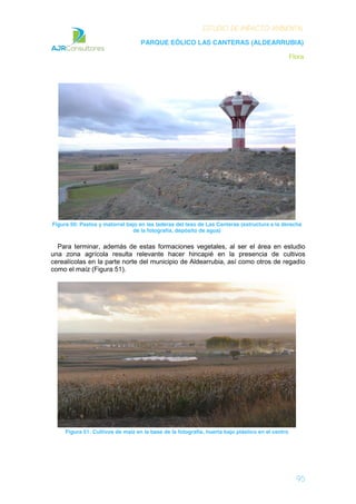 ESTUDIO DE IMPACTO AMBIENTAL
PARQUE EÓLICO LAS CANTERAS (ALDEARRUBIA)
Flora
95
Figura 50: Pastos y matorral bajo en las laderas del teso de Las Canteras (estructura a la derecha
de la fotografía, depósito de agua)
Para terminar, además de estas formaciones vegetales, al ser el área en estudio
una zona agrícola resulta relevante hacer hincapié en la presencia de cultivos
cerealícolas en la parte norte del municipio de Aldearrubia, así como otros de regadío
como el maíz (Figura 51).
Figura 51: Cultivos de maíz en la base de la fotografía, huerta bajo plástico en el centro
 