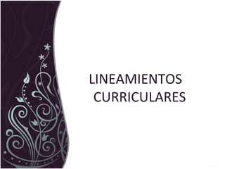 LINEAMIENTOS
CURRICULARES
 