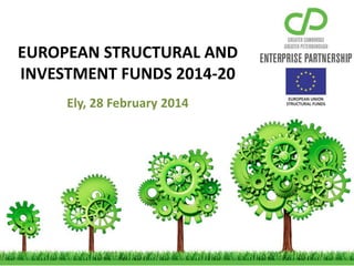 EUROPEAN STRUCTURAL AND
INVESTMENT FUNDS 2014-20
Ely, 28 February 2014
 