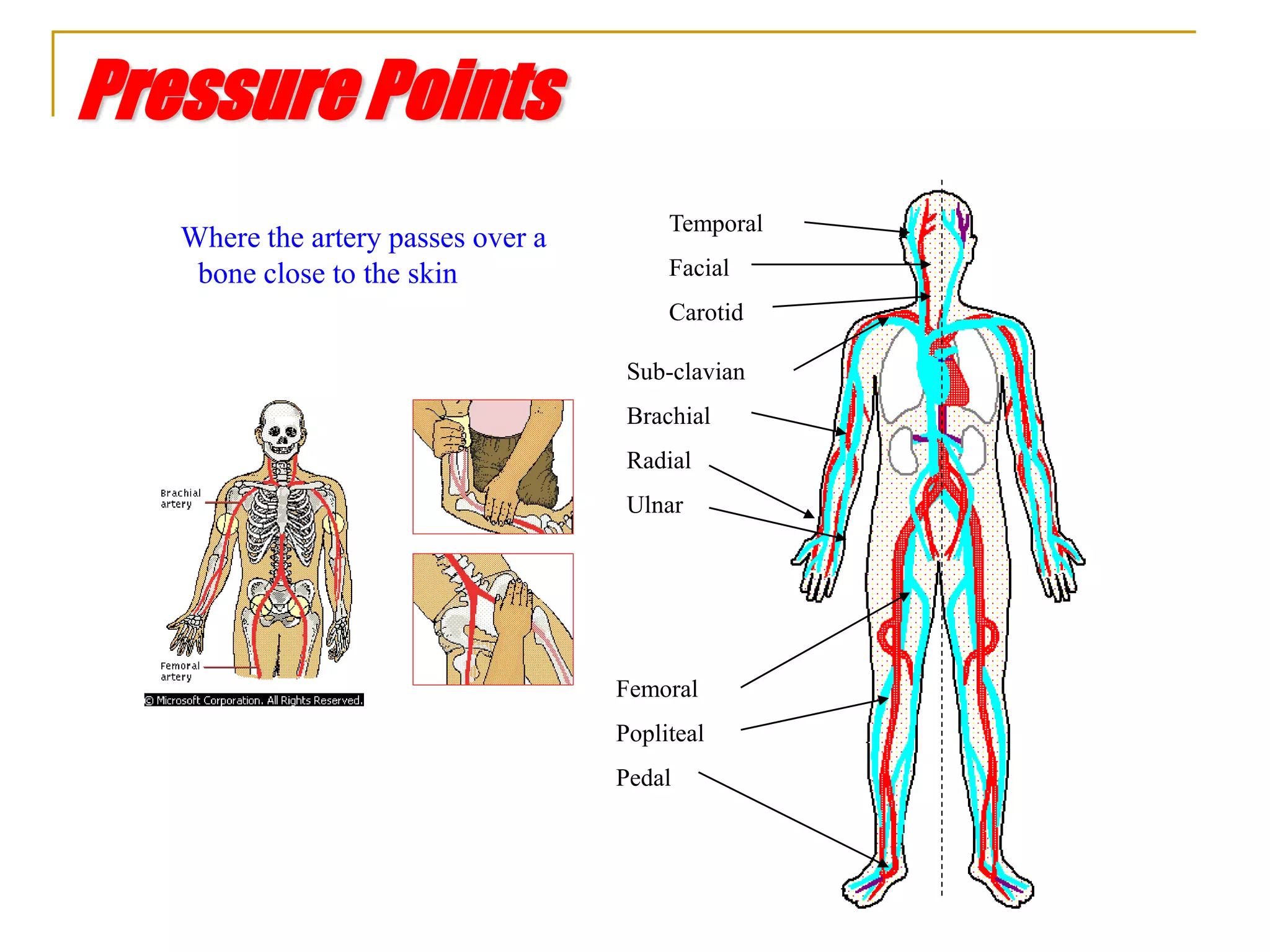 Pressure Points
Where the artery passes over a
bone close to the skin
Temporal
Facial
Carotid
Sub-clavian
Brachial
Radial
Ulnar
Femoral
Popliteal
Pedal
 