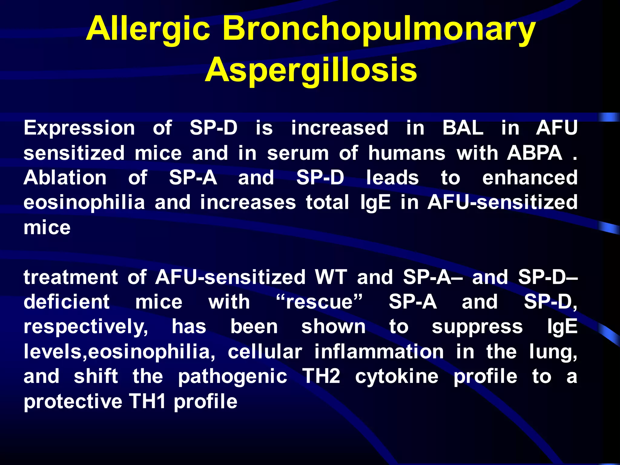 Expression of SP-D is increased in BAL in AFU
sensitized mice and in serum of humans with ABPA .
Ablation of SP-A and SP-D leads to enhanced
eosinophilia and increases total IgE in AFU-sensitized
mice
treatment of AFU-sensitized WT and SP-A– and SP-D–
deficient mice with “rescue” SP-A and SP-D,
respectively, has been shown to suppress IgE
levels,eosinophilia, cellular inflammation in the lung,
and shift the pathogenic TH2 cytokine profile to a
protective TH1 profile
Allergic Bronchopulmonary
Aspergillosis
 