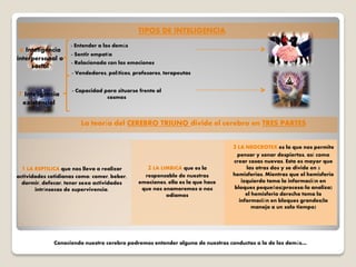 1 LA REPTILICA que nos lleva a realizar
actividades cotidianas como: comer, beber,
dormir, defecar, tener sexo actividades
intrínsecas de supervivencia.
La teoría del CEREBRO TRIUNO divide el cerebro en TRES PARTES
2 LA LIMBICA que es la
responsable de nuestras
emociones, ella es la que hace
que nos enamoremos o nos
odiamos
3 LA NEOCROTEX es la que nos permite
pensar y sonar despiertos, así como
crear cosas nuevas. Esta es mayor que
las otras dos y se divide en 2
hemisferios. Mientras que el hemisferio
izquierdo toma la información en
bloques pequeños(procesa/la analiza)
el hemisferio derecho toma la
información en bloques grandes(la
maneja a un solo tiempo)
Conociendo nuestro cerebro podremos entender alguna de nuestras conductas o la de los demás…
6 Inteligencia
interpersonal o
social
- Entender a los demás
- Sentir empatía
- Relacionada con las emociones
- Vendedores, políticos, profesores, terapeutas
7 Inteligencia
existencial
- Capacidad para situarse frente al
cosmos
TIPOS DE INTELIGENCIA
 