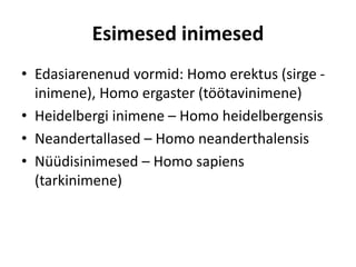 Esimesed inimesed
• Edasiarenenud vormid: Homo erektus (sirge -
inimene), Homo ergaster (töötavinimene)
• Heidelbergi inimene – Homo heidelbergensis
• Neandertallased – Homo neanderthalensis
• Nüüdisinimesed – Homo sapiens
(tarkinimene)
 