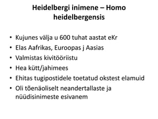 Heidelbergi inimene – Homo
heidelbergensis
• Kujunes välja u 600 tuhat aastat eKr
• Elas Aafrikas, Euroopas j Aasias
• Valmistas kivitööriistu
• Hea kütt/jahimees
• Ehitas tugipostidele toetatud okstest elamuid
• Oli tõenäoliselt neandertallaste ja
nüüdisinimeste esivanem
 