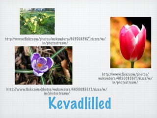 http://www.ﬂickr.com/photos/mukumbura/4650085671/sizes/m/
                      in/photostream/




                                                      http://www.ﬂickr.com/photos/
                                                    mukumbura/4650085671/sizes/m/
                                                             in/photostream/
http://www.ﬂickr.com/photos/mukumbura/4650085671/sizes/m/
                      in/photostream/


                        Kevadlilled
 