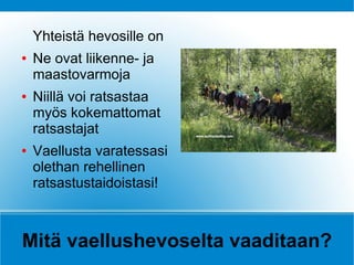 Yhteistä hevosille on
●   Ne ovat liikenne- ja
    maastovarmoja
●   Niillä voi ratsastaa
    myös kokemattomat
    ratsastajat
●   Vaellusta varatessasi
    olethan rehellinen
    ratsastustaidoistasi!



Mitä vaellushevoselta vaaditaan?
 