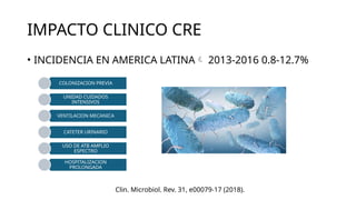 IMPACTO CLINICO CRE
• INCIDENCIA EN AMERICA LATINA 2013-2016 0.8-12.7%
COLONIZACION PREVIA
UNIDAD CUIDADOS
INTENSIVOS
VENTILACION MECANICA
CATETER URINARIO
USO DE ATB AMPLIO
ESPECTRO
HOSPITALIZACION
PROLONGADA
Clin. Microbiol. Rev. 31, e00079-17 (2018).
 
