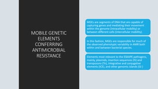 MOBILE GENETIC
ELEMENTS
CONFERRING
ANTIMICROBIAL
RESISTANCE
MGEs are segments of DNA that are capable of
capturing genes and mediating their movement
within the genome (intracellular mobility) or
between different cells (intercellular mobility).
In this fashion, MGEs are responsible for much of
the observed phenotypic variability in AMR both
within and between bacterial species.
Elements most relevant to the ESKAPE pathogens,
mainly, plasmids, insertion sequences (IS) and
transposons (Tn), integrative and conjugative
elements (ICE), and other genomic islands (GI )
 