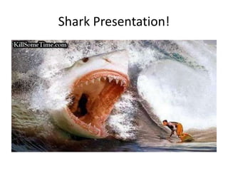 Shark Presentation! 