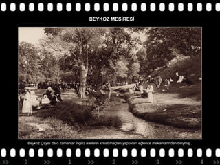 BEYKOZ MESİRESİ

Beykoz Çayırı da o zamanlar İngiliz ailelerin kriket maçları yaptıkları eğlence mekanlarından biriymiş..

 