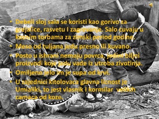 • Debeli sloj sala se koristi kao gorivo za
grejalice, rasvetu I zagrevanje. Salo cuvaju u
koznim torbama za zimski period godine.
• Meso od tuljana jedu presno ili kuvano.
• Posto u ishrani nemaju povrca, jedini biljni
proizvodi koje jedu vade iz utroba zivotinja.
• Omiljeno jelo im je supa od krvi.
• U zajednici kitolovaca glavna licnost je
Umialiki, to jest vlasnik I kormilar velikih
camaca od koze.
 