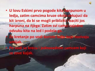 • U lovu Eskimi prvo pogode kita harpunom u
ledja, zatim camcima kruze okolo cekajuci da
kit izroni, da bi se mogli pribliziti I baciti jos
harpuna na njega. Zatim svi camci zajedno
odvuku kita na led I podele ga.
• Za kretanje po vodi koriste ladje koje nazivaju
umijak.
• Po vodi se krecu I jednosednim camcem koji
se zove kajak.
 