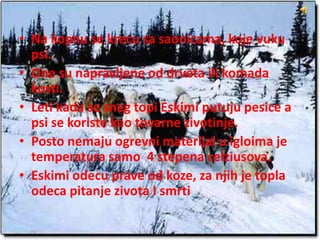 • Na kopnu se krecu sa saonicama, koje vuku
psi.
• One su napravljene od drveta ili komada
kosti.
• Leti kada se sneg topi Eskimi putuju pesice a
psi se koriste kao tovarne zivotinje.
• Posto nemaju ogrevni materijal u igloima je
temperatura samo 4 stepena celziusova.
• Eskimi odecu prave od koze, za njih je topla
odeca pitanje zivota I smrti
 