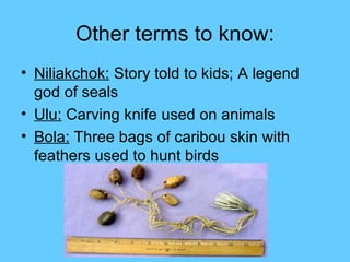 Other terms to know: Niliakchok:  Story told to kids; A legend god of seals Ulu:  Carving knife used on animals Bola:  Three bags of caribou skin with feathers used to hunt birds 