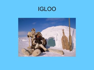 IGLOO 