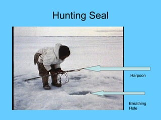 Hunting Seal Breathing Hole Harpoon 