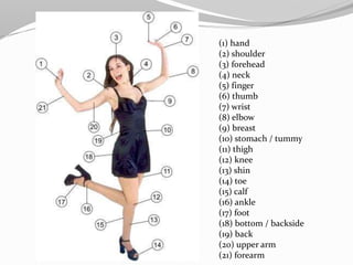 (1) hand
(2) shoulder
(3) forehead
(4) neck
(5) finger
(6) thumb
(7) wrist
(8) elbow
(9) breast
(10) stomach / tummy
(11) thigh
(12) knee
(13) shin
(14) toe
(15) calf
(16) ankle
(17) foot
(18) bottom / backside
(19) back
(20) upper arm
(21) forearm
 