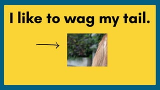 Three Hint Quiz for ESL Classroom Activity