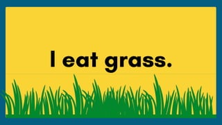 Three Hint Quiz for ESL Classroom Activity