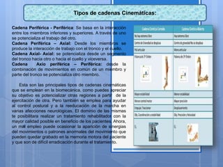 Tipos de cadenas Cinemáticas:
Cadena Periférica - Periférica: Se basa en la interacción
entre los miembros inferiores y superiores. A través de uno
se potencializa el trabajo del otro.
Cadena Periférica – Axial: Desde los miembros se
produce la interacción de trabajo con el tronco y el cuello.
Cadena Axial- Axial: se potencializa desde un segmento
del tronco hacia otro o hacia el cuello y viceversa.
Cadena Axio periférica – Periférica: desde la
combinación de movimientos en común de un miembro y
parte del tronco se potencializa otro miembro.
Esta son las principales tipos de cadenas cinemáticas
que se emplean en la biomecánica, como puedes apreciar
su objetivo es potencializar otras regiones a partir de la
ejercitación de otra. Pero también se emplea para ayudar
al control postural y a la reeducación de la marcha en
varias afecciones neurológicas. El dominio de las mismas
te posibilitara realizar un tratamiento rehabilitador con la
mayor calidad posible en beneficio de los pacientes. Ahora,
un mal empleo puede ocasionar la aparición de sinergias
del movimientos o patrones anormales del movimiento que
pueden quedar grabado en la memoria motora del paciente
y que son de difícil erradicación durante el tratamiento.
 