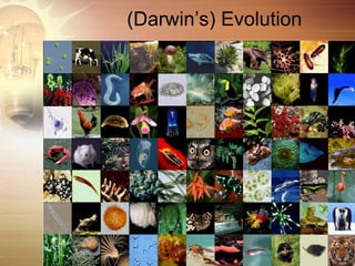 (Darwin’s) Evolution
 