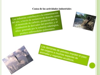 Causa de las actividades industriales
 